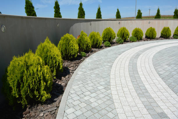Best Decorative Driveway Pavers  in Ridgely, MD